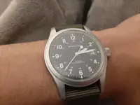 15897608020025954432709262911504.webp
