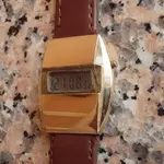 IMGP2160.webp