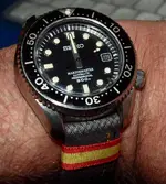P5183353.webp