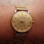 IMGP2296.webp
