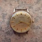 IMGP2292.webp