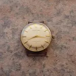 IMGP2289.webp