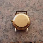 IMGP2288.webp