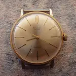 IMGP2301.webp