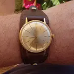IMGP2308.webp