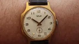 IMGP2068.webp