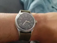 15886858096866118207975999181176.webp