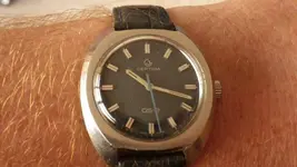 IMGP2071.webp