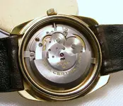 sd-2 235.webp