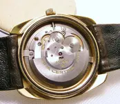 sd-2 235.webp