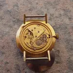 IMGP2298.webp