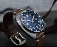 image_5e125363-5d29-498d-85e0-ea3af2c79dcb_900x.webp