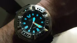CITIZEN ECOZILLA LUMEN.webp
