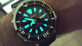 SEIKO TUNA LUMEN.webp