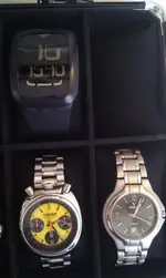 IMAG0498.webp