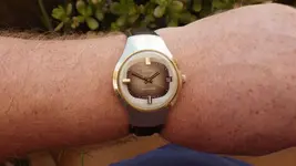 IMGP2326.webp