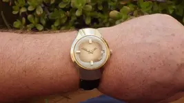 IMGP2325.webp