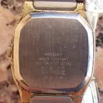 IMGP2192.webp