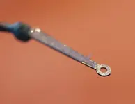 _BAR1070.webp