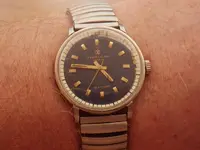 IMGP2397.webp