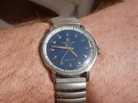 IMGP2399.webp