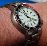 P5133336.webp