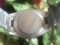 tudor3.webp tudor3.webp