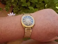 IMGP2418.webp