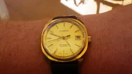 IMGP2423.webp