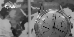Seagull 1963.webp