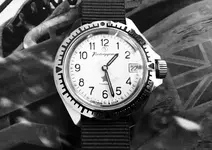 FF1196C5-7C6C-4B04-ACC2-5EDC2487BE90.webp
