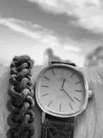 38FE987A-8D48-4D3C-AD8A-E48DB992AFC4.webp