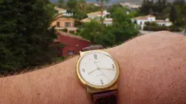 IMGP2484.webp