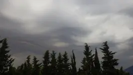 IMGP2477.webp