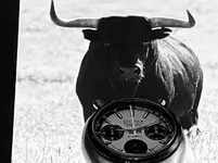 3C9E92AB-7231-46B9-8C97-70EDDCDBFA92.webp