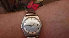 IMGP2799.webp