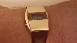 IMGP2687.webp