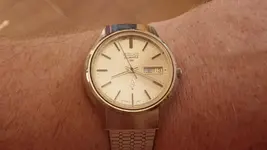 IMGP2684.webp