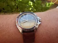 IMGP2821.webp