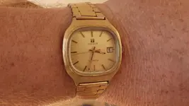 IMGP2621.webp