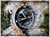 2020-06-24-20-59-51.webp 2020-06-24-20-59-51.webp