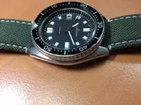 IMG_2025 (1024x768) (1024x768).webp