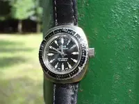 oris1.webp