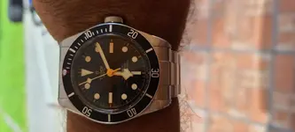 tudor2.webp