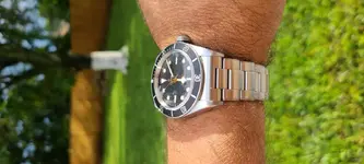 tudor11.webp