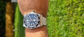 tudor11].webp