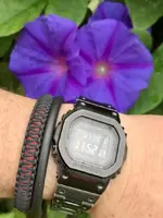 BDBA73F8-011C-477C-ADA4-B9CB0F1E04E5.webp