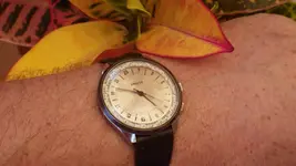 IMGP2965.webp