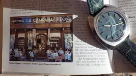 IMGP2627.webp