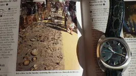 IMGP2626.webp